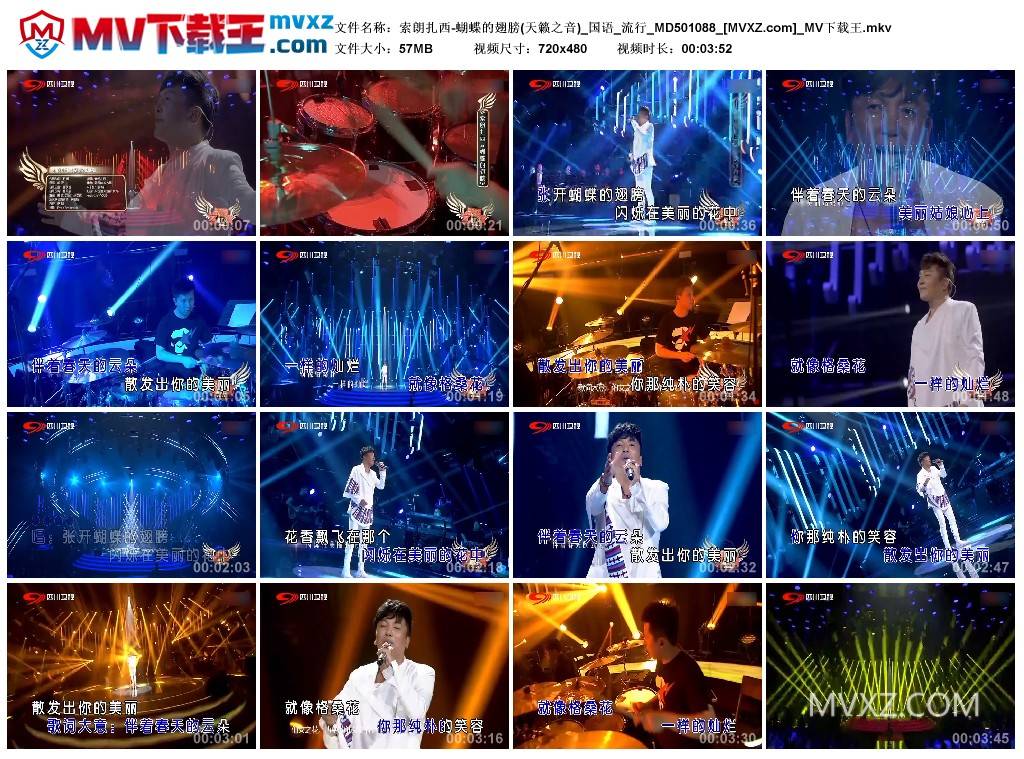 索朗扎西-蝴蝶的翅膀(天籁之音)_国语_流行_MD501088